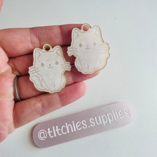 Cute Cat Earring Mould