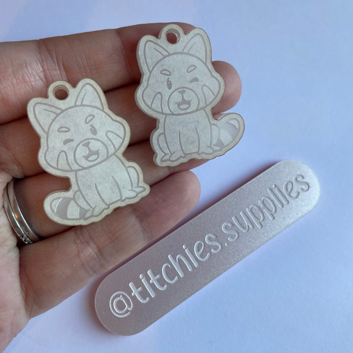 Kawaii Raccoon Earring Mould