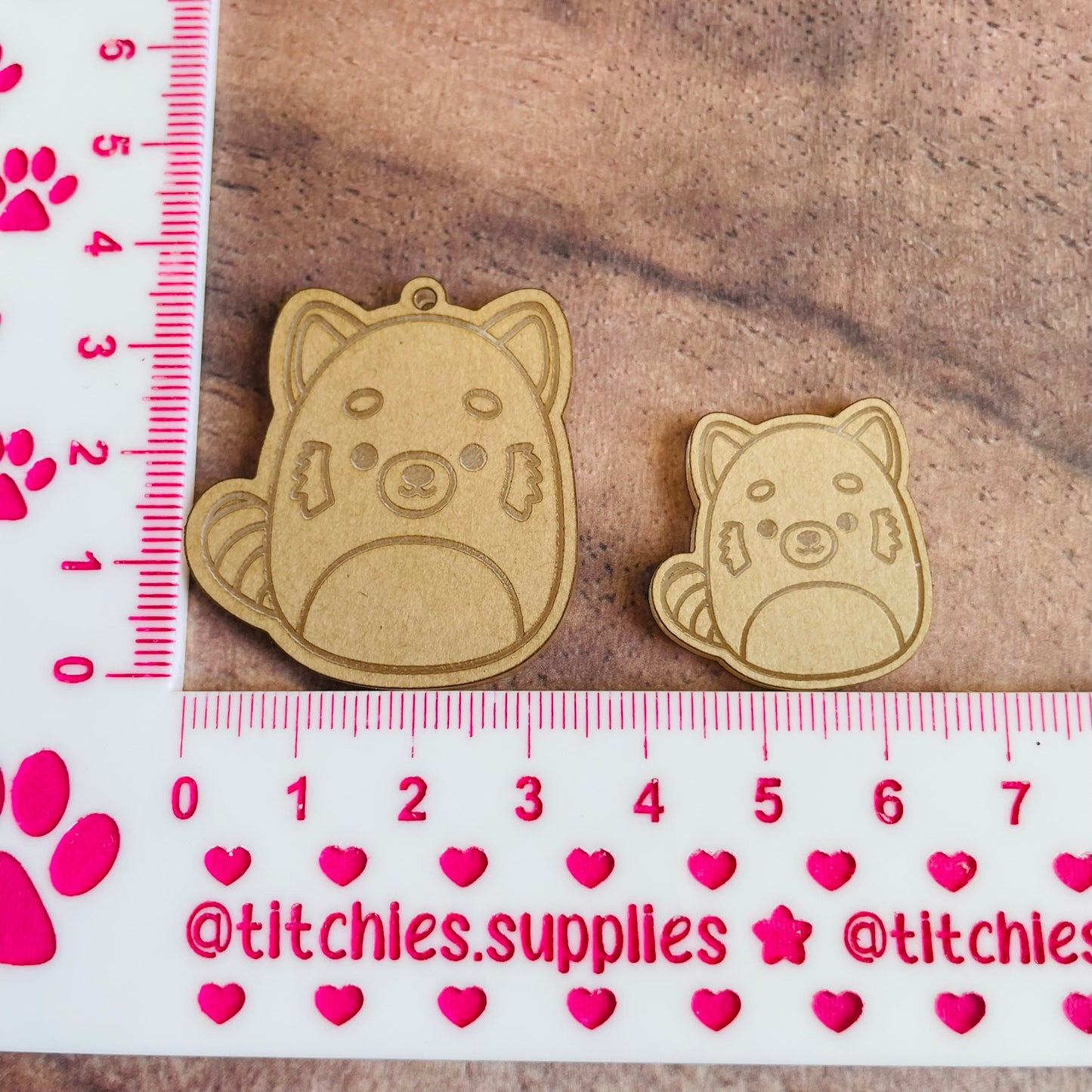 Squishie Raccoon Earring Mould