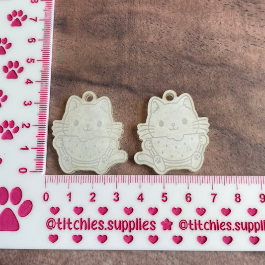 Watermelon Cat Earring Mould