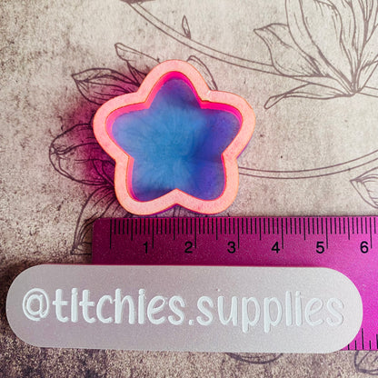 Chubby Star Shaker Mould